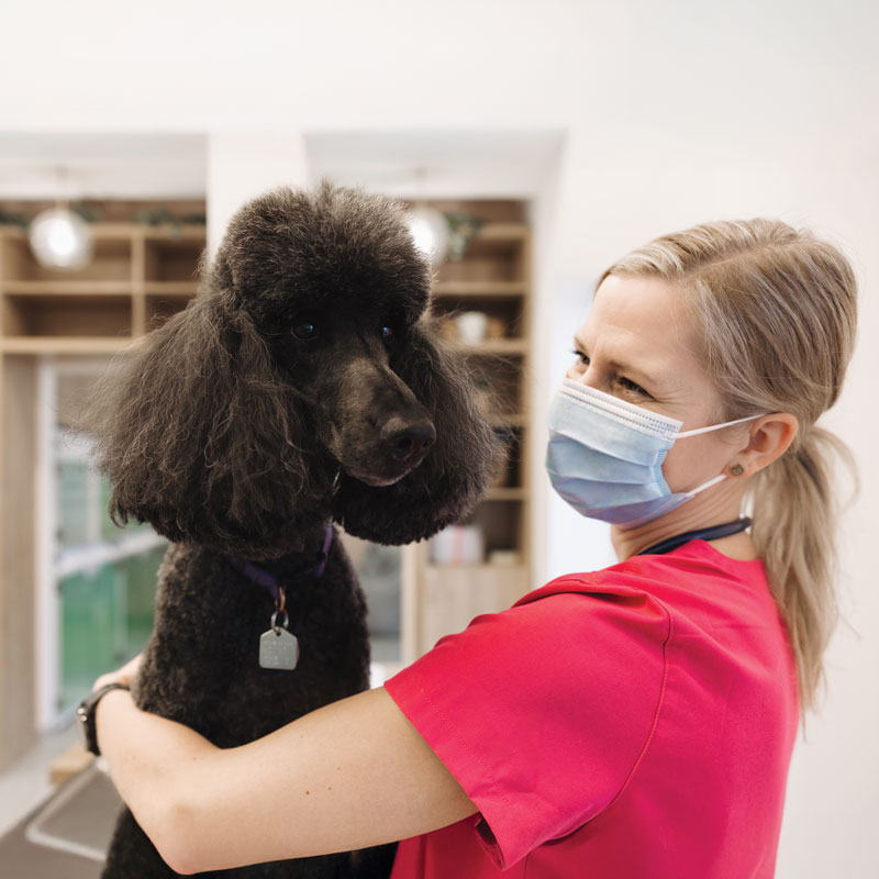 A Compassionate Calling cover photo