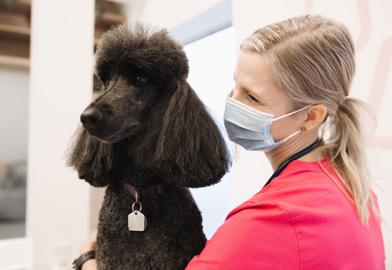 Marie and Vivian Photo