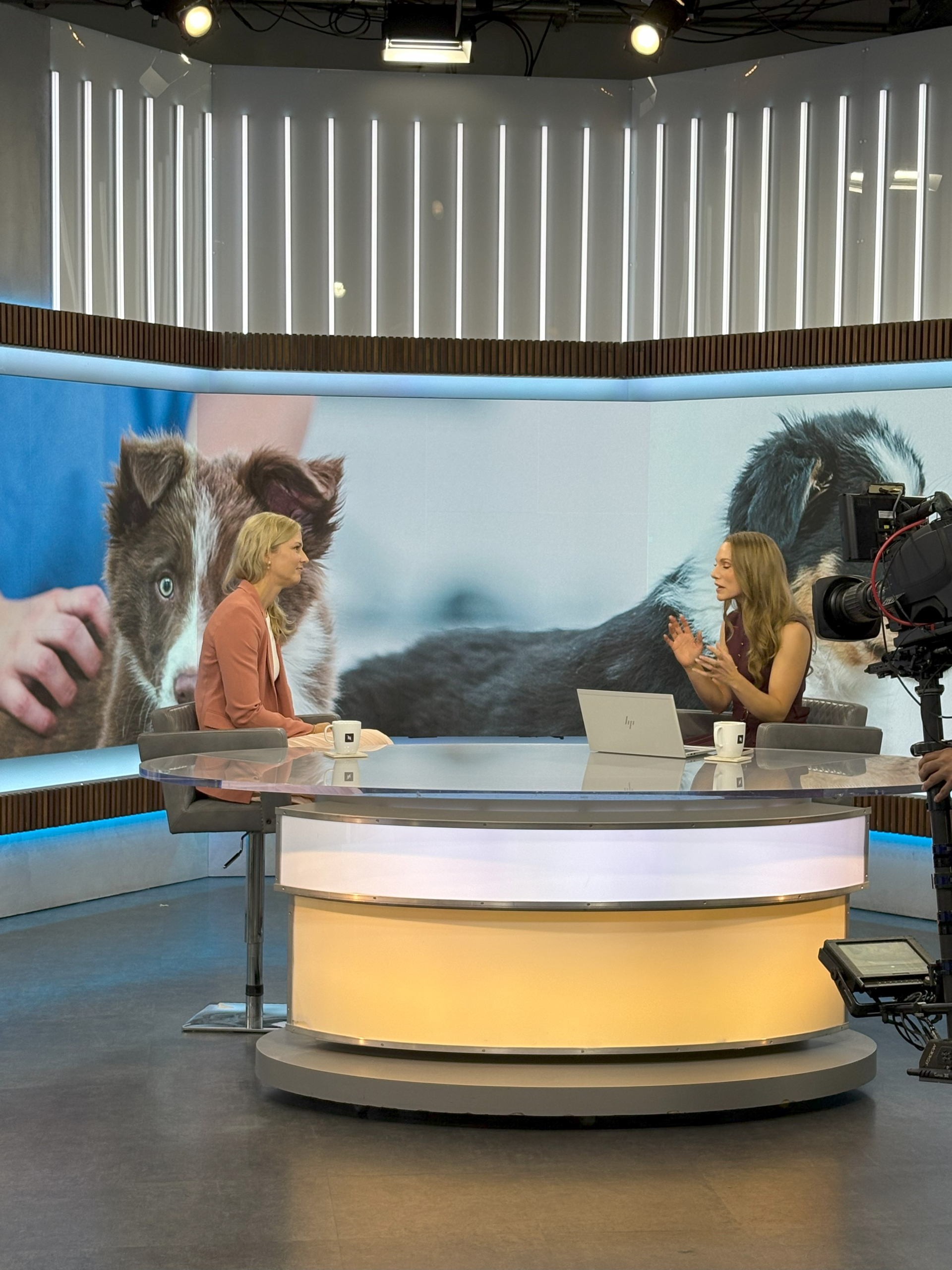 Marie Holowaychuk and Kelsey, the host of CTV Your Morning, sit behind the desk on a TV set with dogs on the screen in the background.